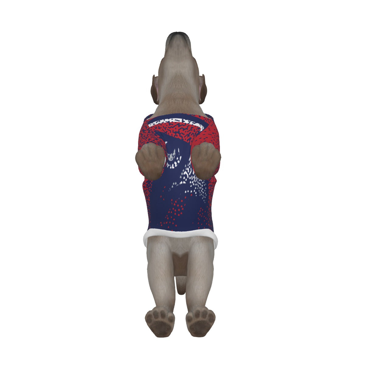 EXAMPLE Dog Hoodie