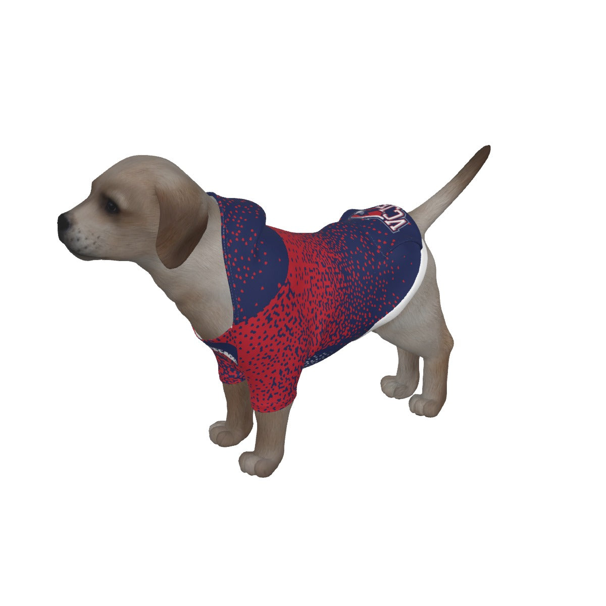 EXAMPLE Dog Hoodie